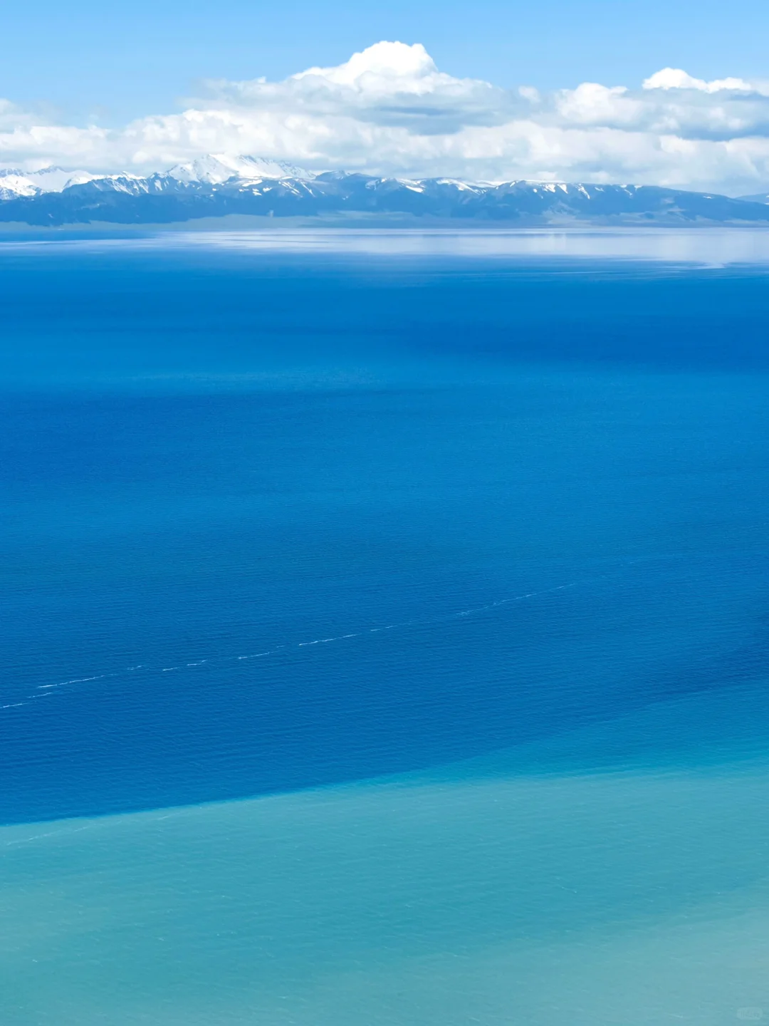 这个季节的赛里木湖真的美到next level…