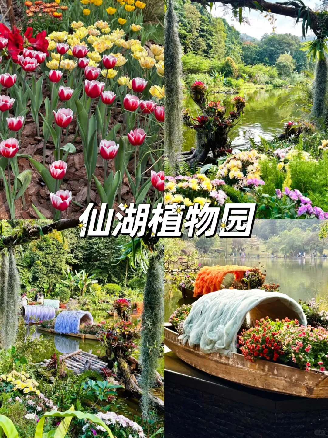 🚇深圳畅玩秘籍！12个地铁直达宝藏景点