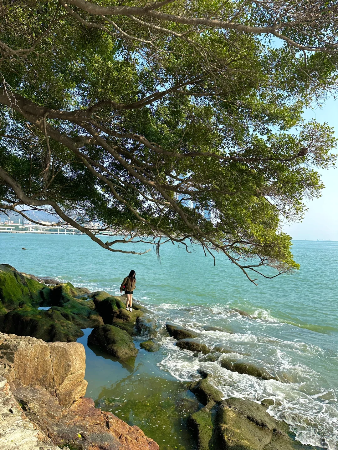 来厦门！！📍一定要去的6️⃣个地方！！附地址··