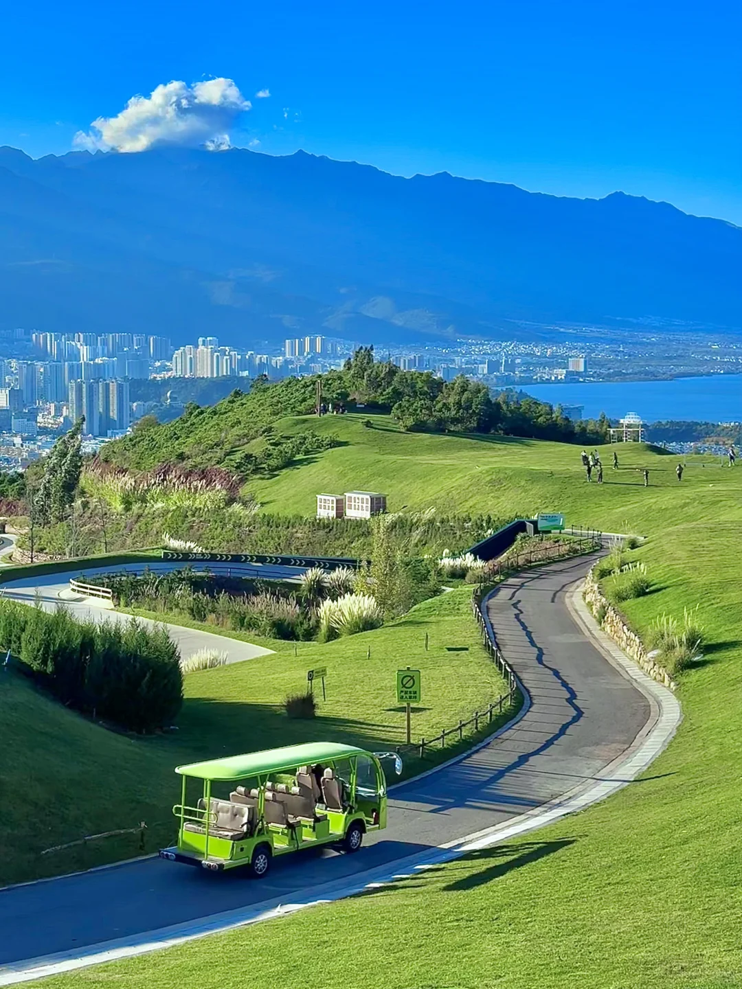 大理新西兰🌳这就是live图存在的意义