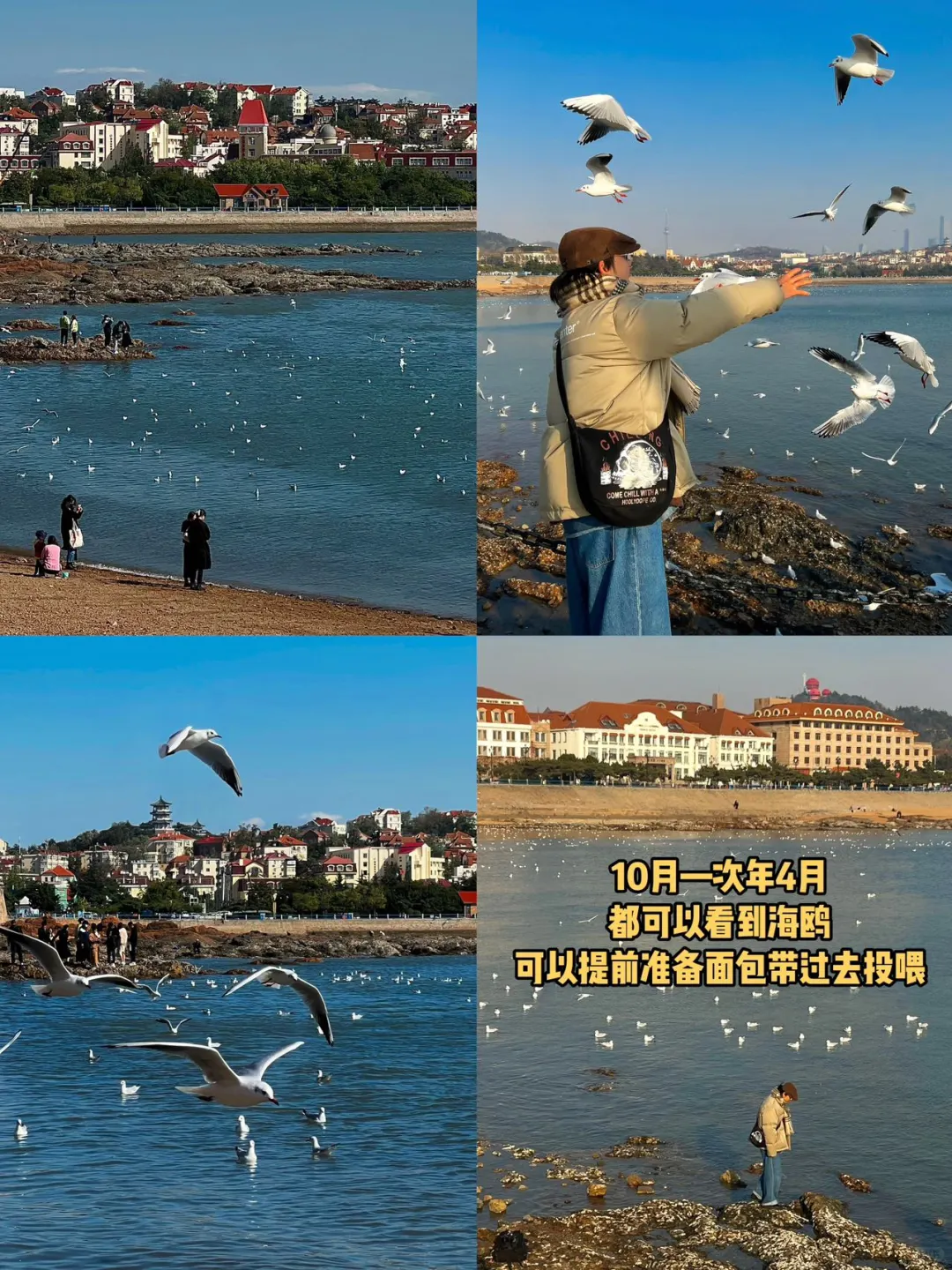 终于有人把青岛旅游讲清楚了。。。