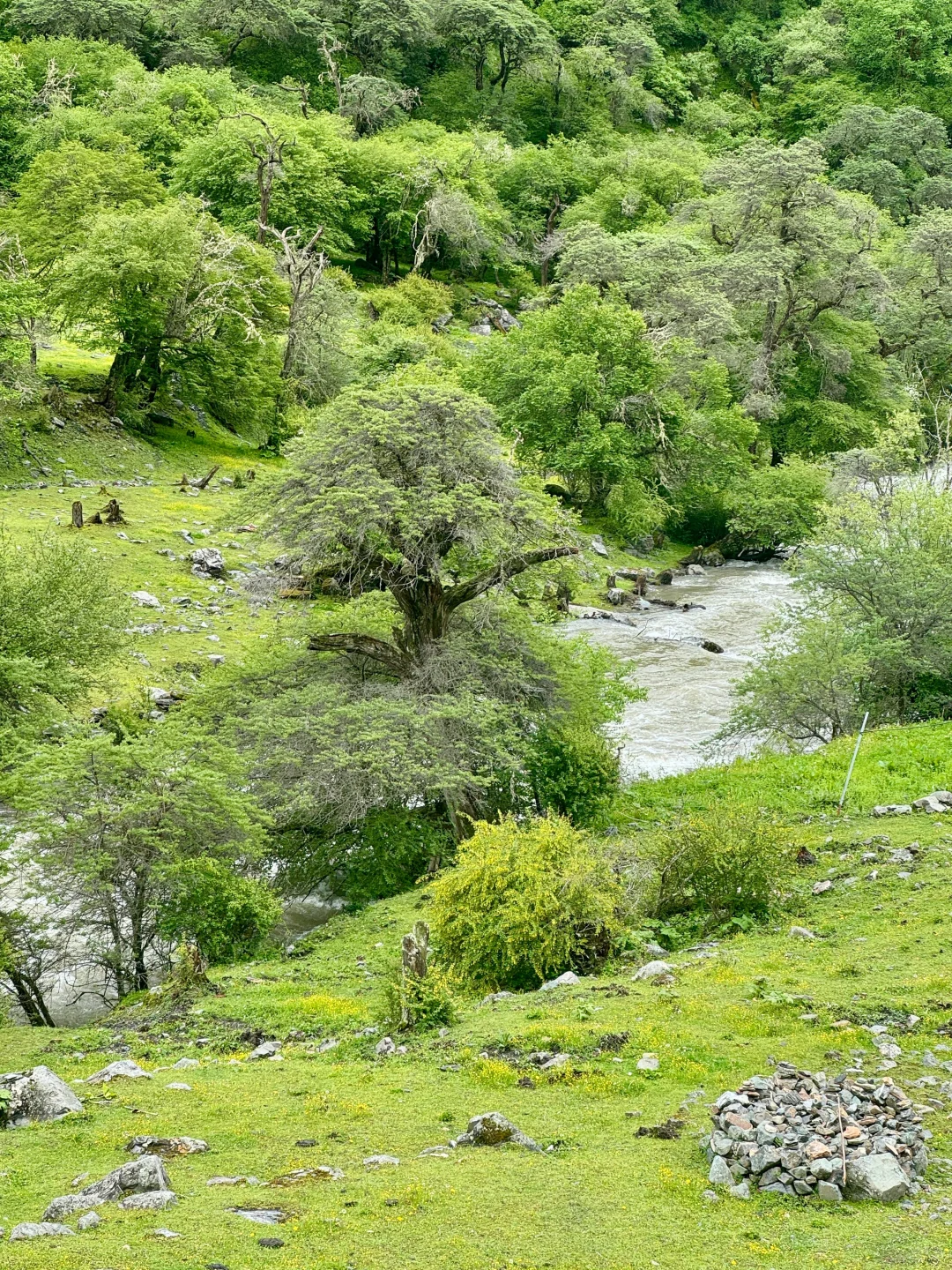 6.22📍四姑娘山已回，姐妹们能帮一个是一个