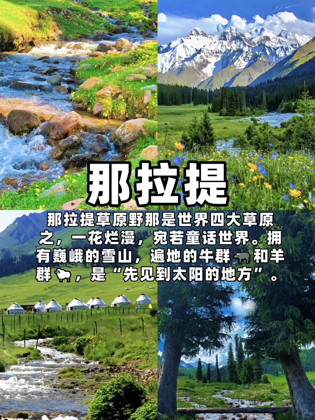 北疆必去9大景点，你的旅行清单准备好了吗