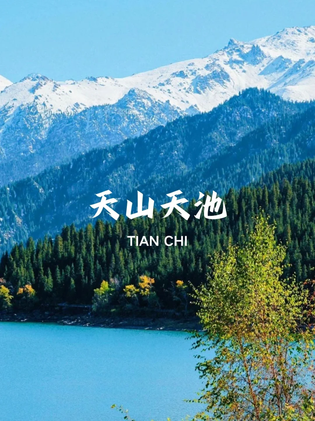 🎈新疆夏天必打卡9大景点🎈