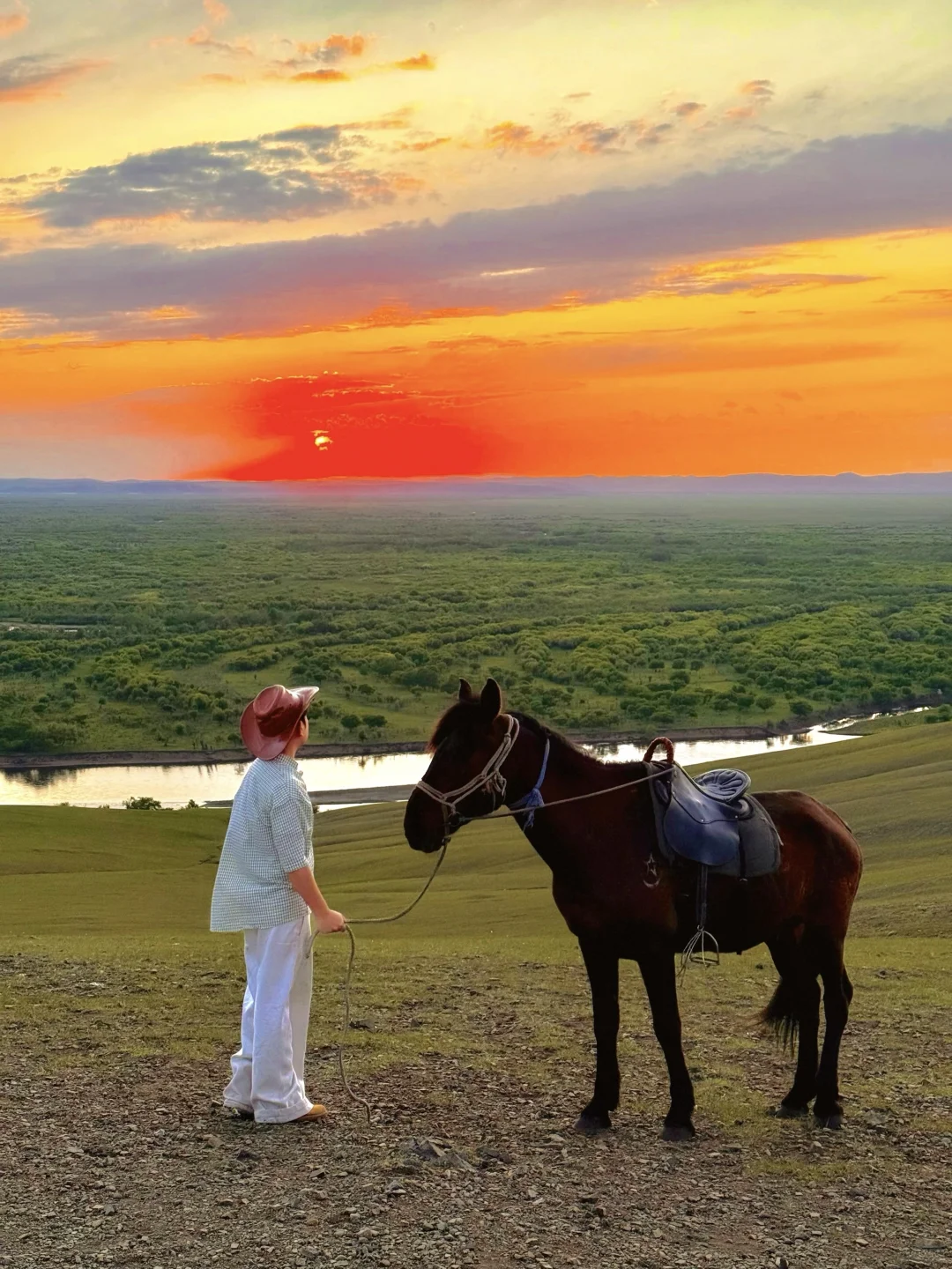 live直出!初夏的呼伦贝尔赢麻了~