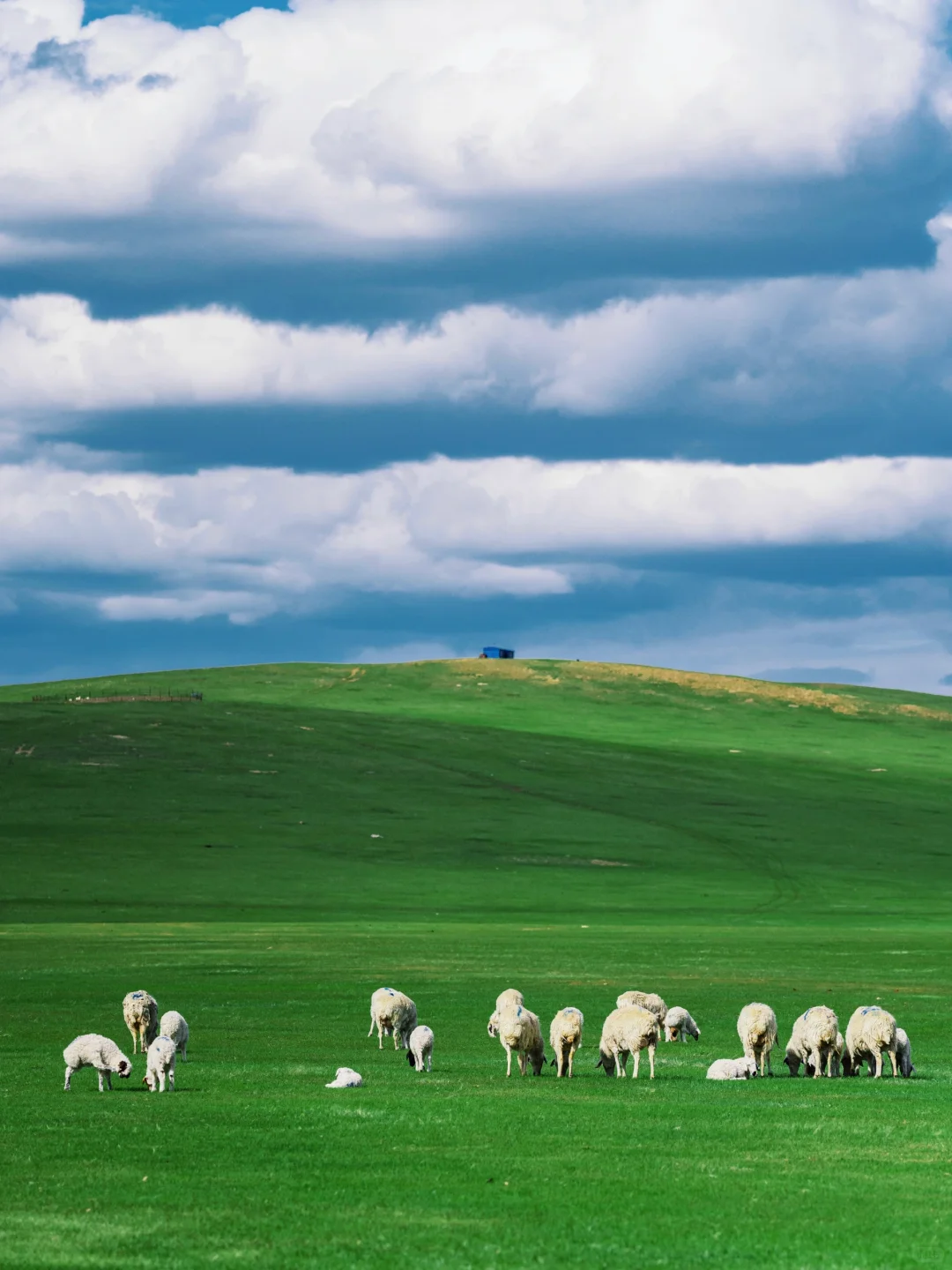 接下来的呼伦贝尔，仿佛走进漫画里一般！！！