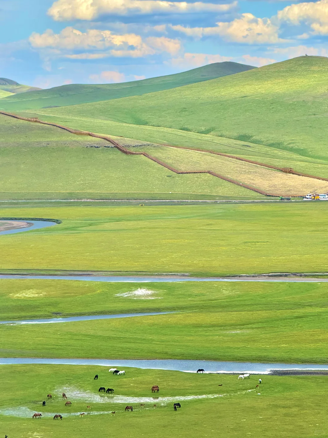 live直出!初夏的呼伦贝尔赢麻了~