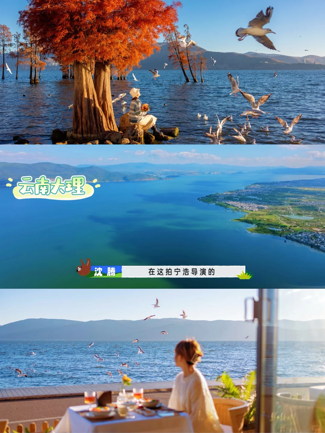 推荐6个治愈旅行的目的地~现在就出发!!