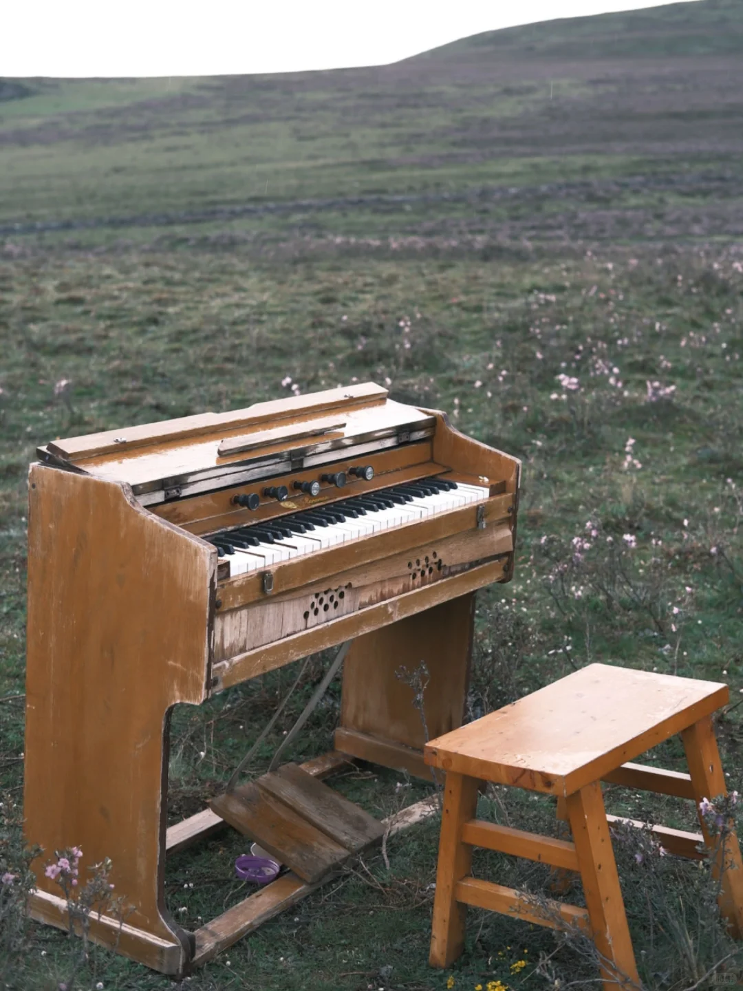 五一假期去川西❓️｜游玩攻略｜注意事项