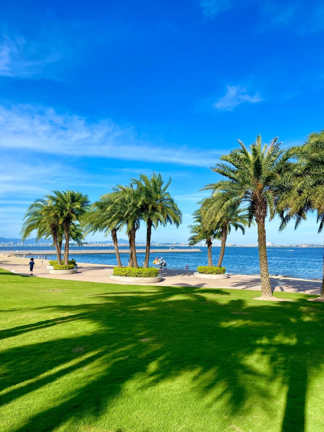 来厦门！！📍一定要去的6️⃣个地方！！附地址··