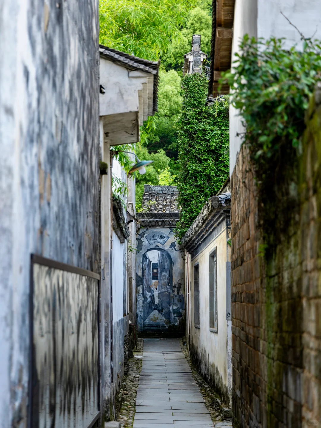 江浙沪周末出发，我最喜欢的去班味小城‼️