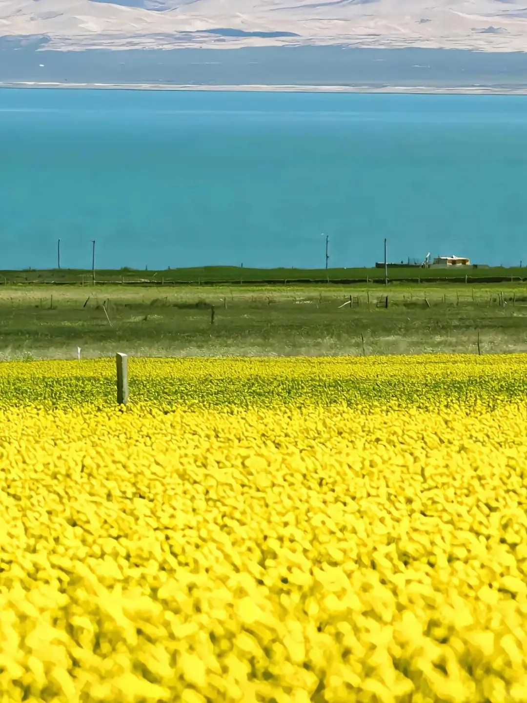 特种兵勇闯大西北，6天5晚花费不到2k