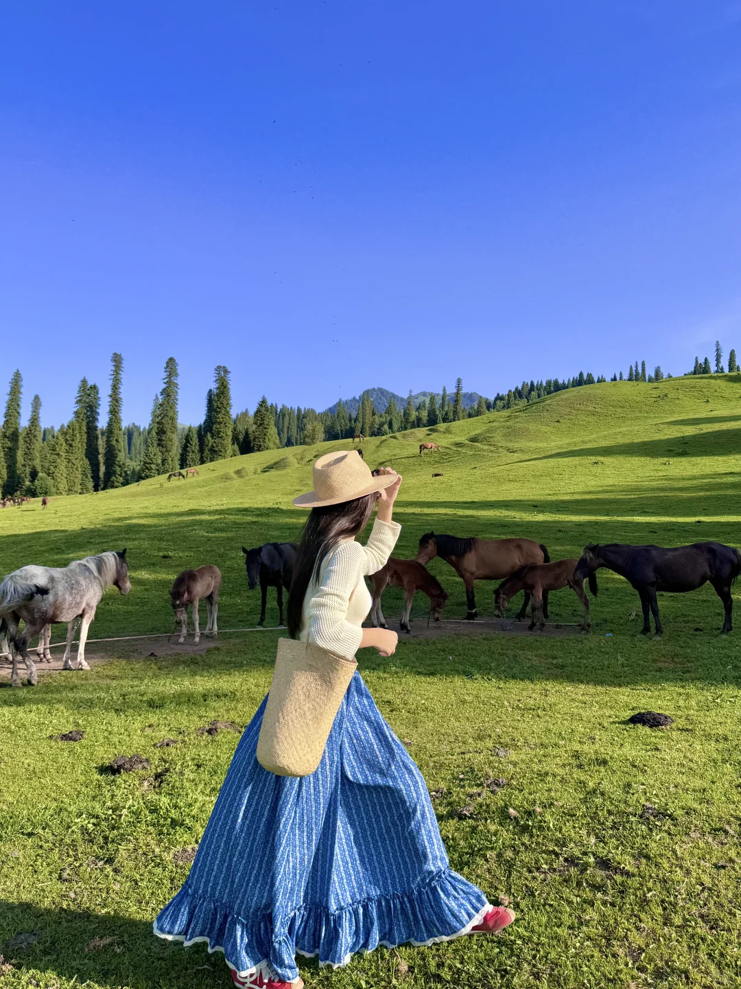 去那拉提别再排队🧎网红桥了🌲
