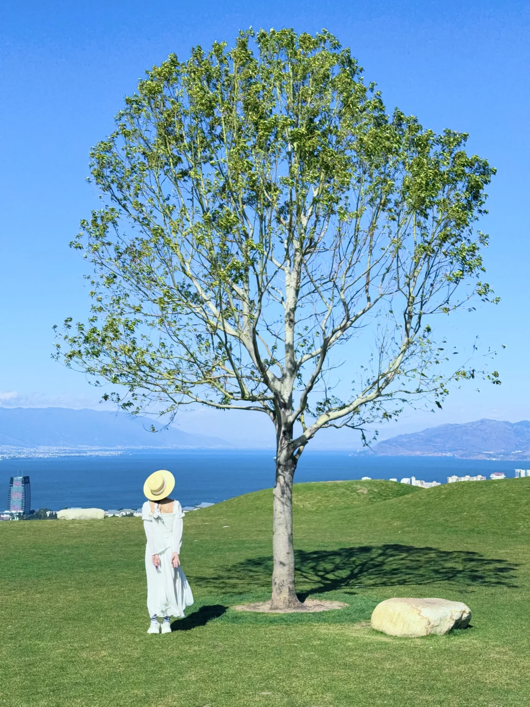 大理新西兰🌳这就是live图存在的意义