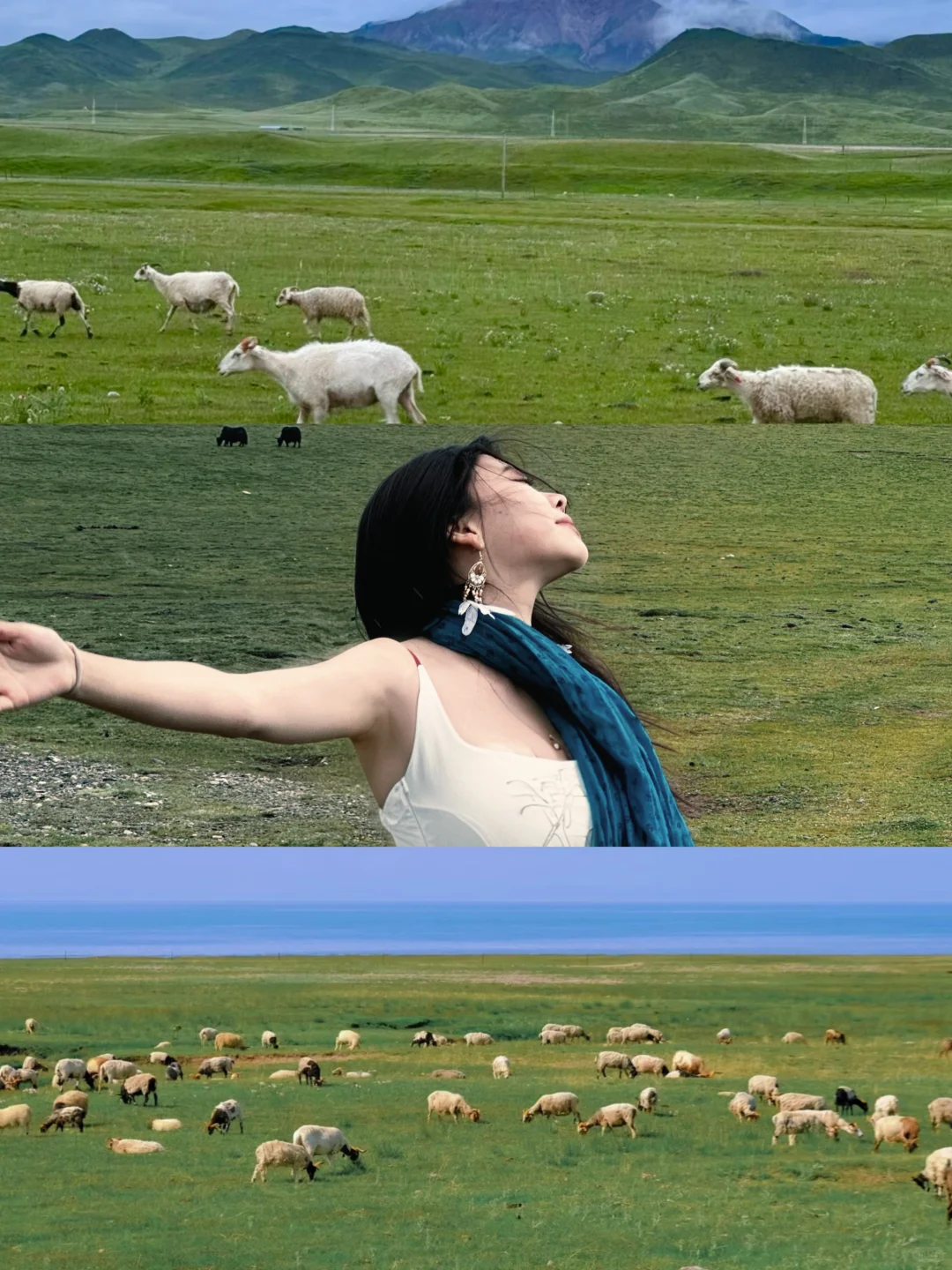 真心不建议七八月去大西北………