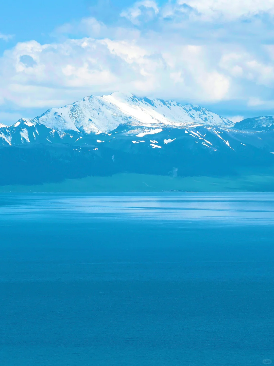 这个季节的赛里木湖真的美到next level…