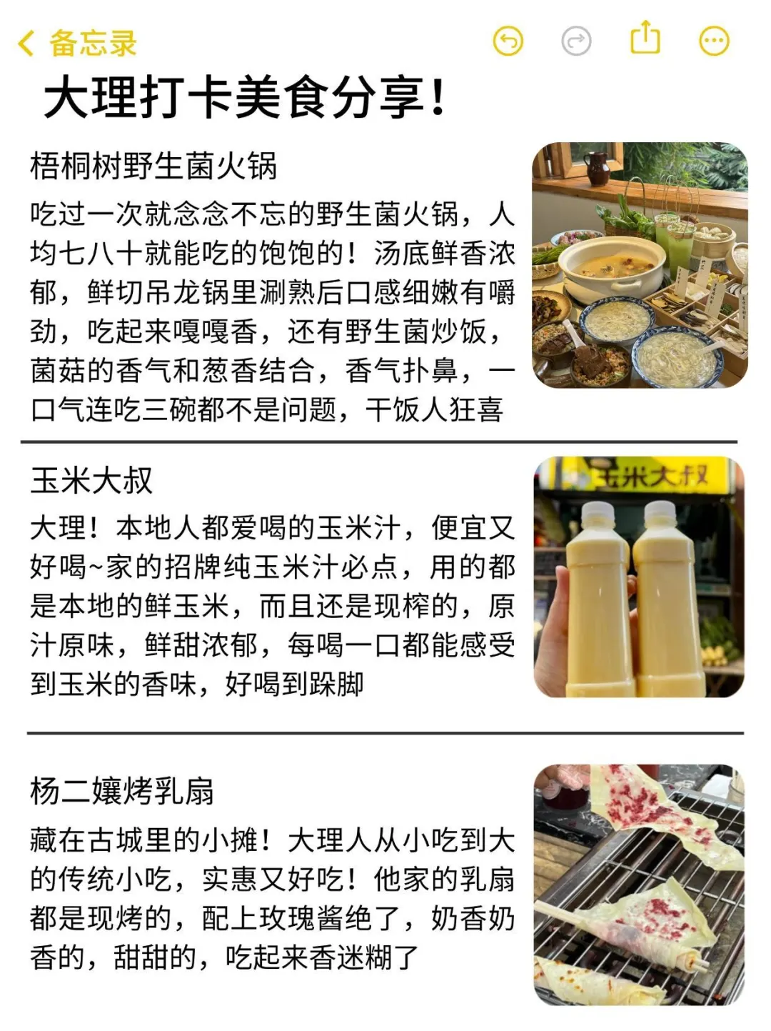 J人好恐怖啊😱…被男朋友做的大理攻略震惊‼️