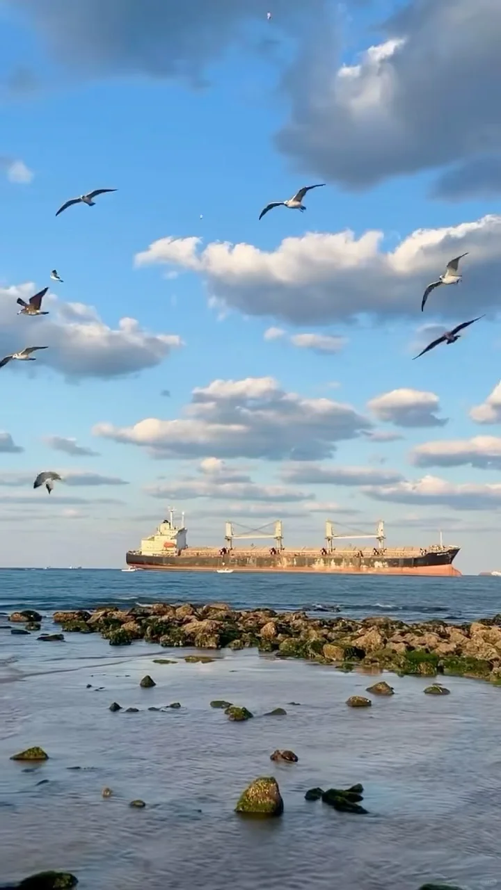 青岛-烟台-威海 5天玩转3个城市｜附攻略🔥