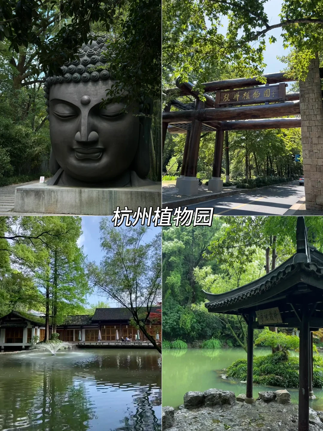 熬夜整理的杭州必打卡9大景点❗️可无脑冲