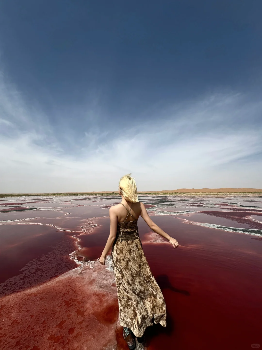 地球的心脏去了🫀没！白！活！