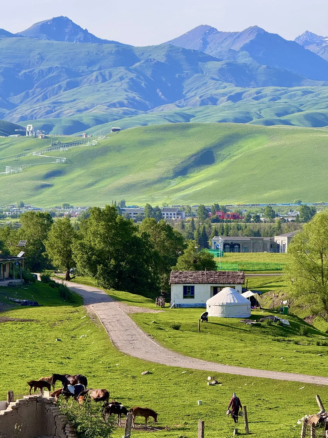 去那拉提别再排队🧎网红桥了🌲