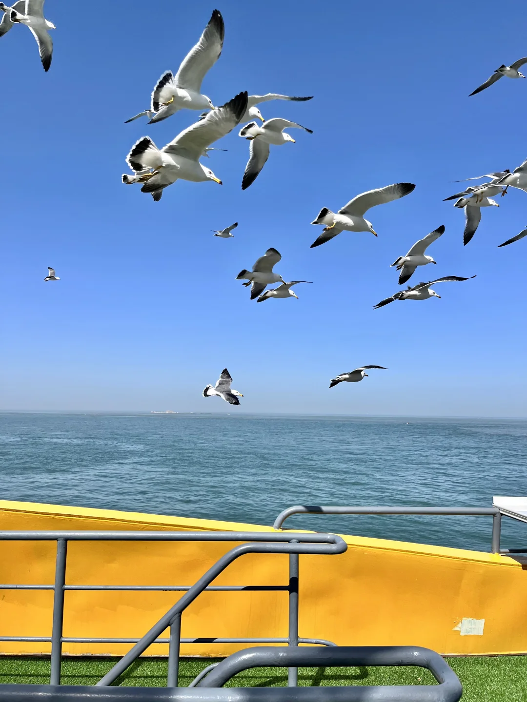离天津最近的🏖隐世浪漫小岛，被我找到了❗️