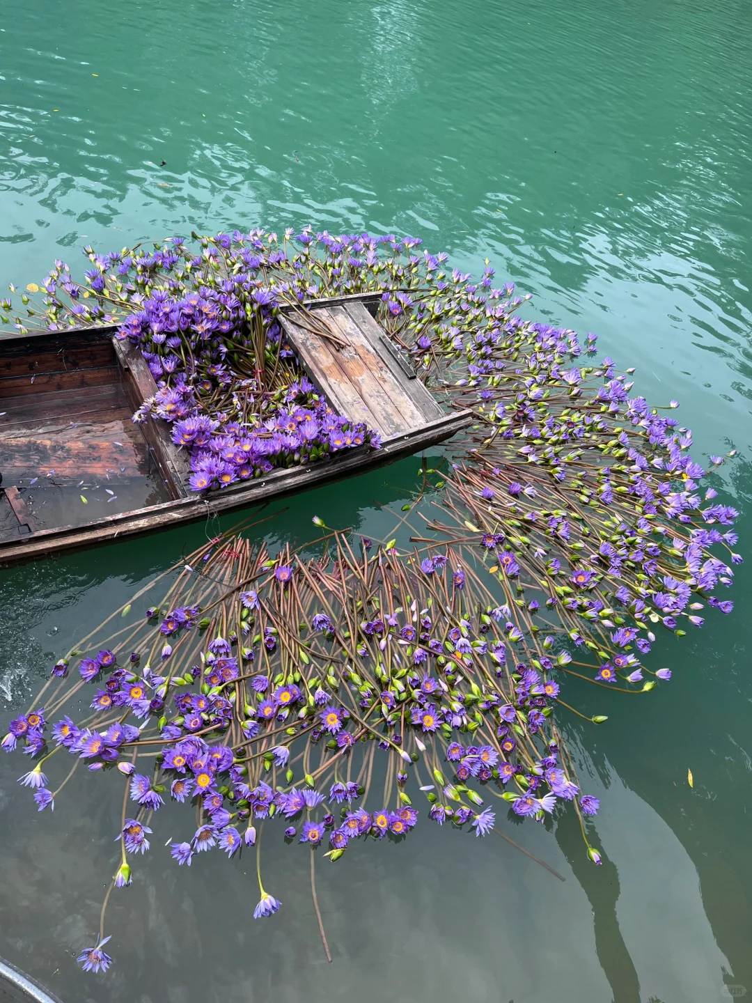📍贵州罗甸大小井｜玩水天花板的地方