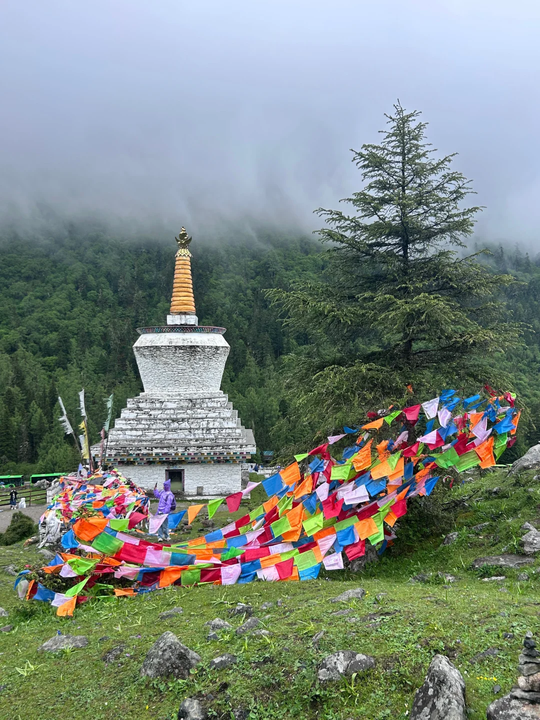 6.22📍四姑娘山已回，姐妹们能帮一个是一个