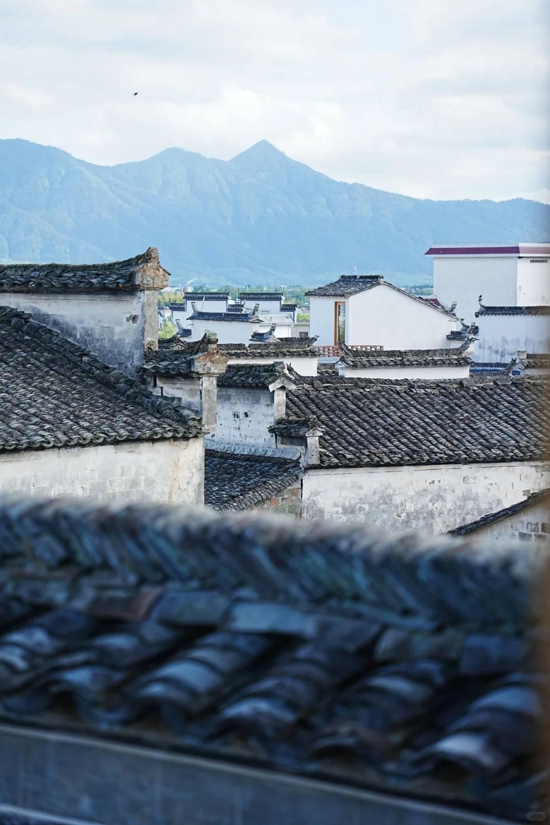 今年暑假我只带娃去一个地方：徽州！🤩