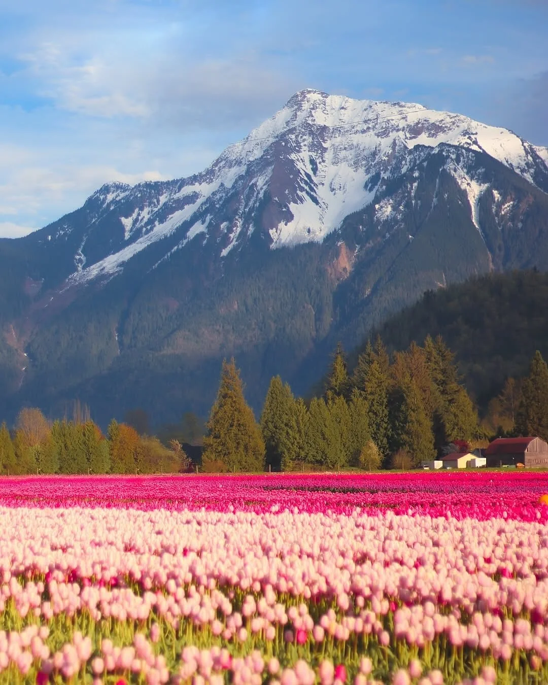 去温哥华前必看❗️必玩15个景点全攻略❗️
