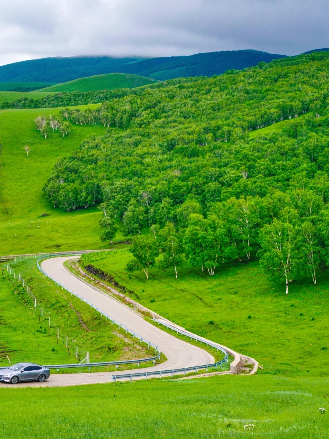 不是呼伦贝尔！是北京🚗3h可达的小众秘境🍃