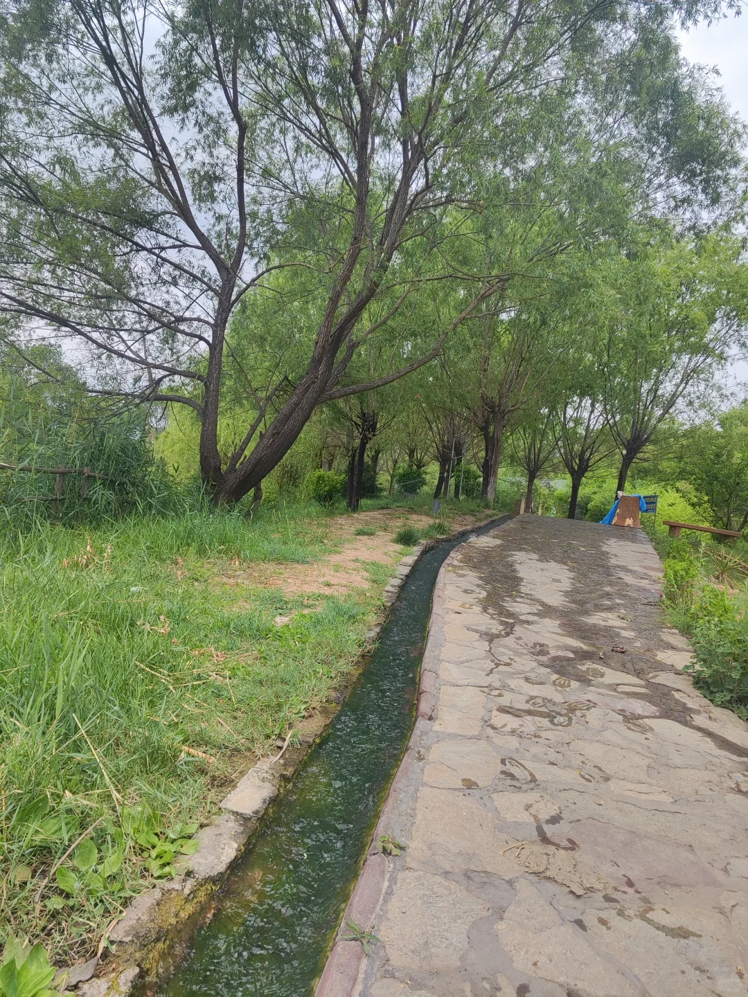 ✨邯郸遛娃👣沁河源景区