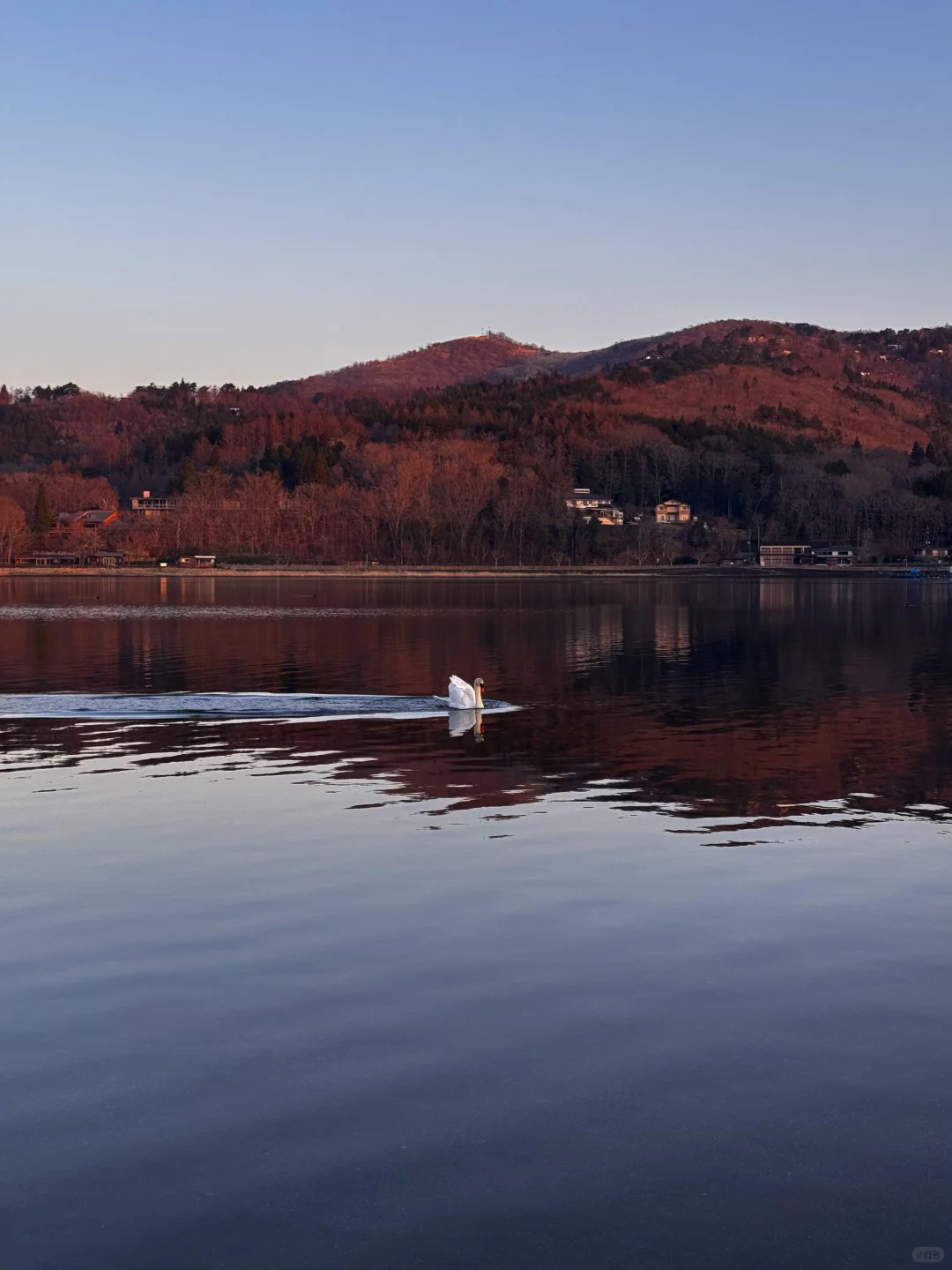 日本｜富士山🗻山中湖绝美粉色日出平野之浜