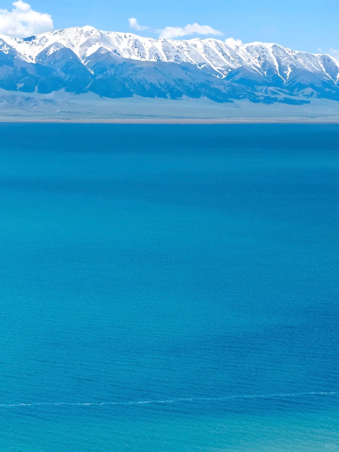 这个季节的赛里木湖真的美到next level…