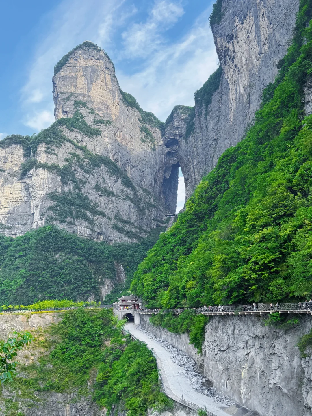 【天门山保姆级攻略｜云端漫步☁️玻璃栈道尖叫
