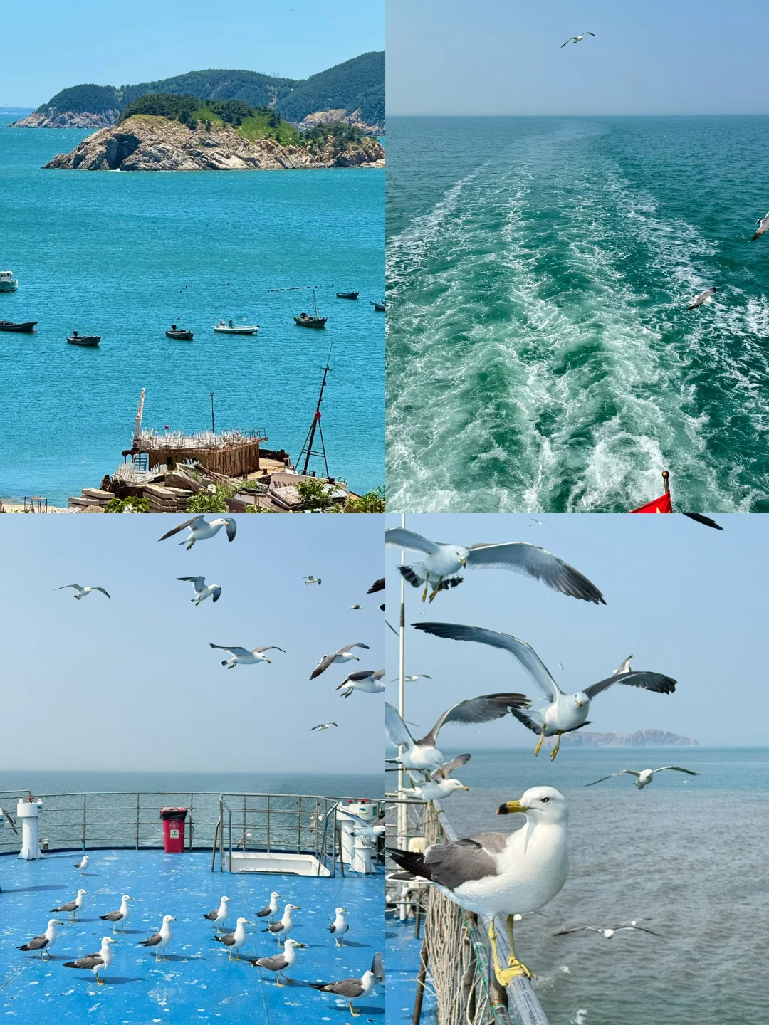 第一次去威海❗️直接复制这条citywalk攻略