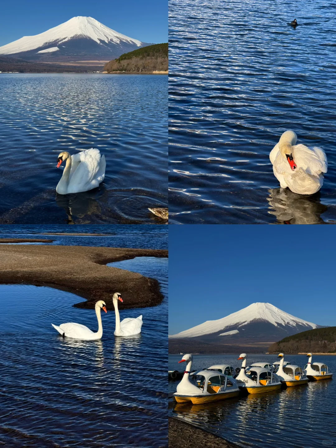 日本｜富士山🗻山中湖绝美粉色日出平野之浜