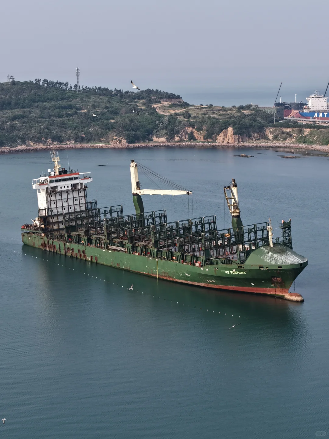 第一次去威海❗️直接复制这条citywalk攻略