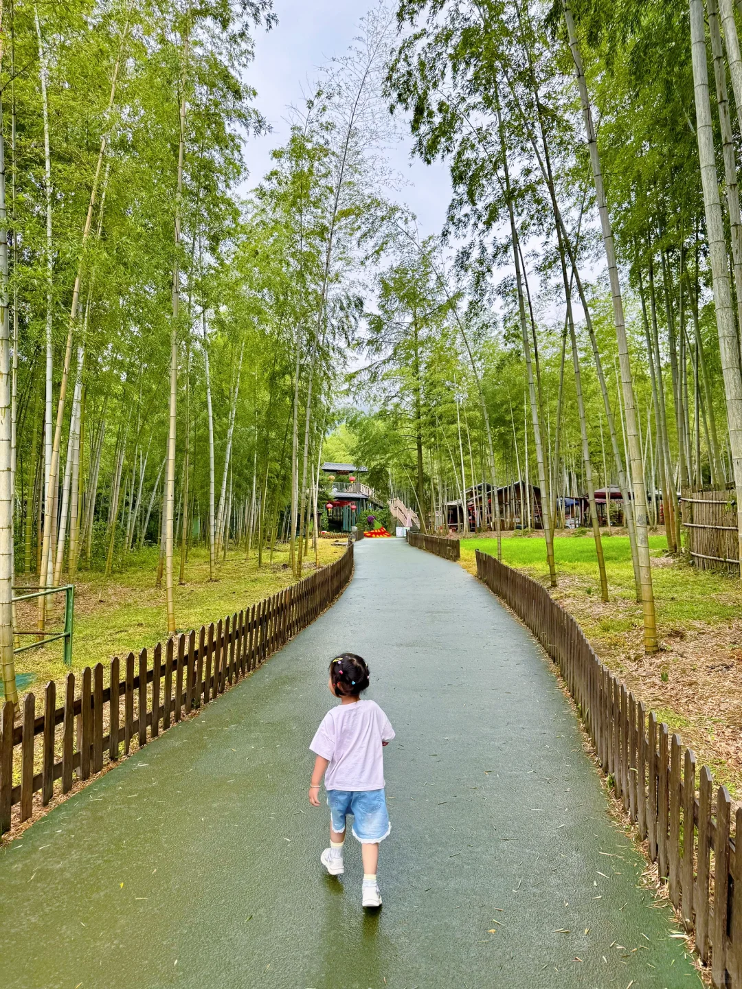 🎈宜兴遛娃|溶洞看钟乳石+玩陶土+看竹海✨