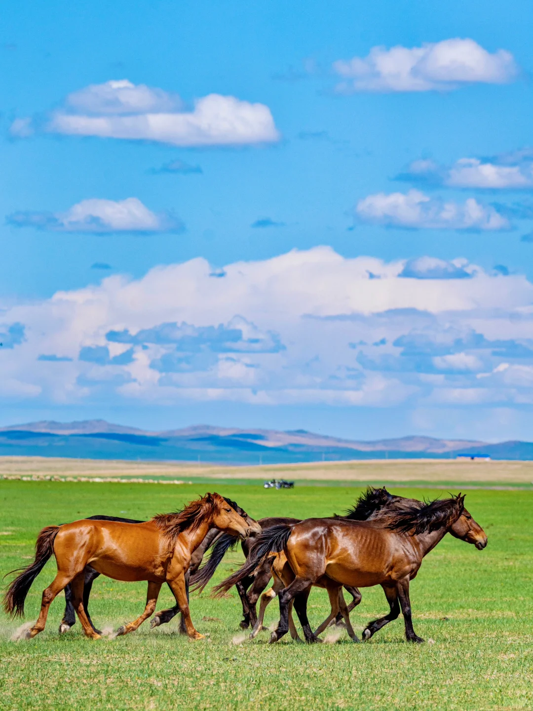 接下来的呼伦贝尔，仿佛走进漫画里一般！！！