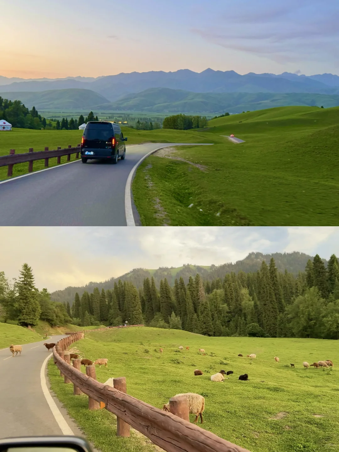 去那拉提别再排队🧎网红桥了🌲