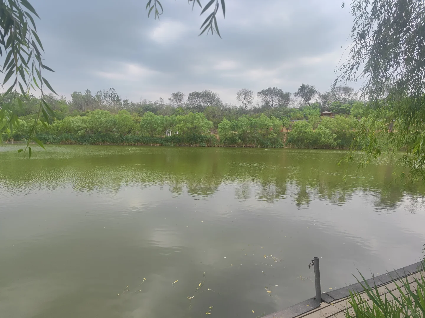 ✨邯郸遛娃👣沁河源景区