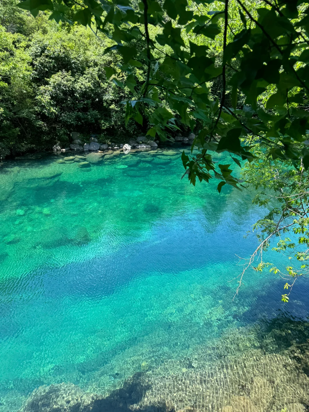 果冻湖狂热粉丝狂喜