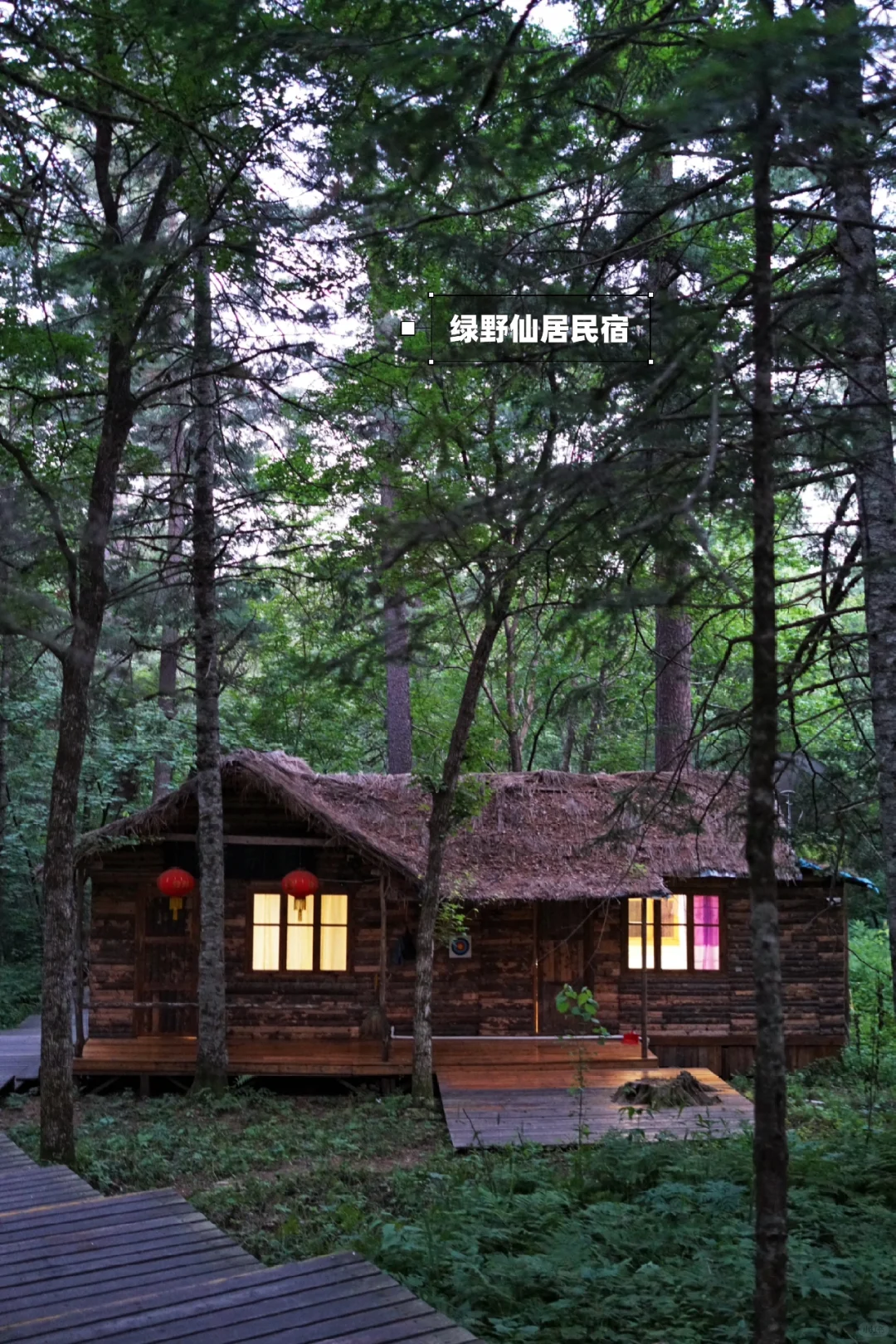 炎炎夏日，在20℃的伊春避暑🍃