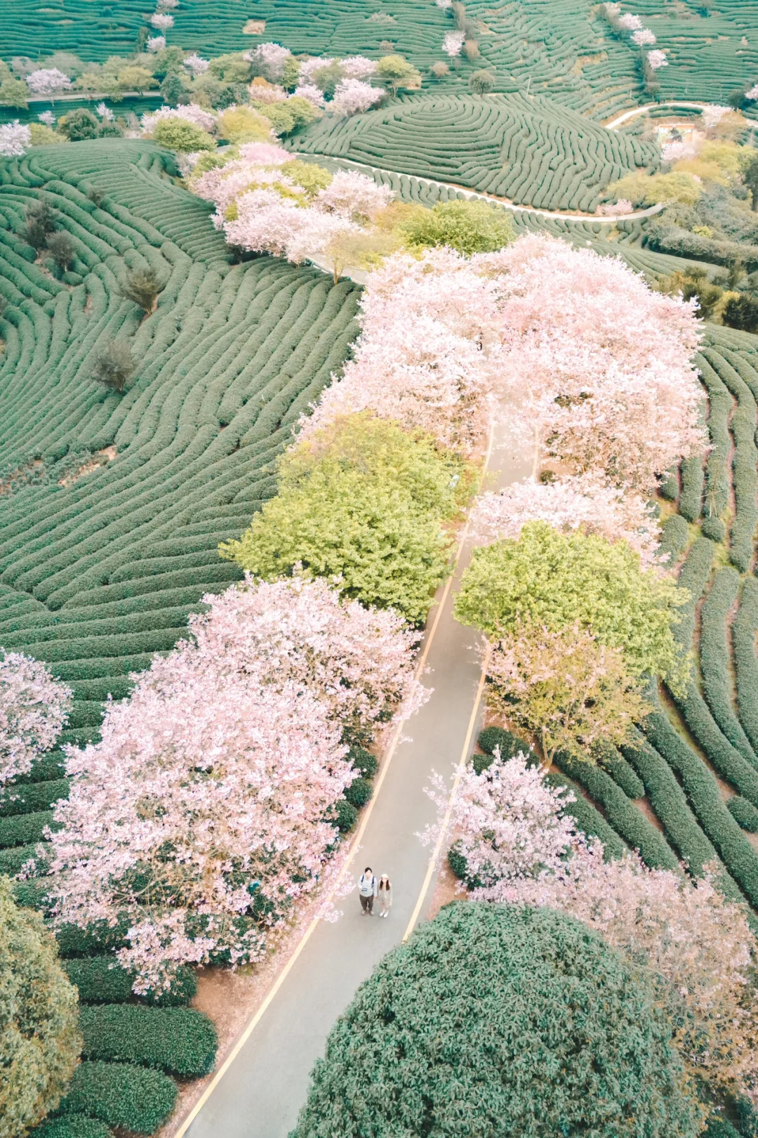 广东周边的12个烟火小城，国庆发圈直接赢麻！