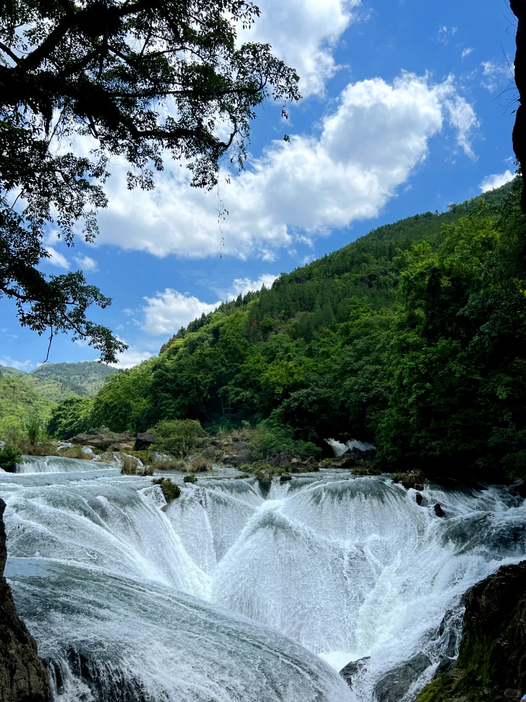 今年暑假，我只带娃去一个地方：贵州‼️