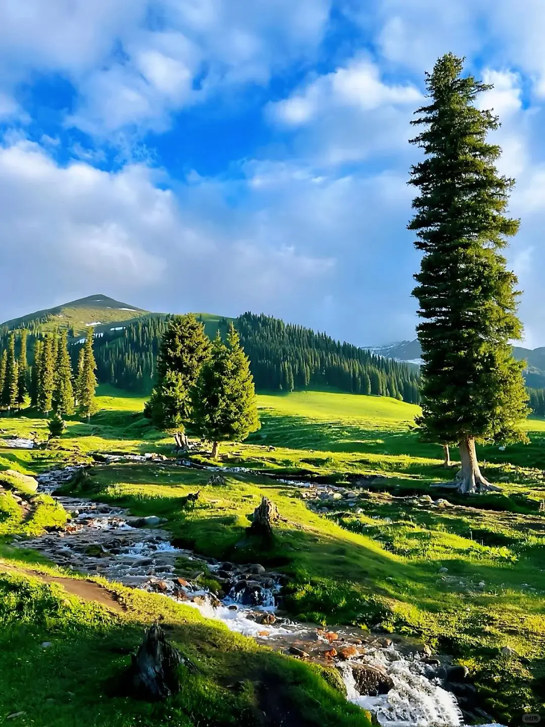 5-8月的伊犁真的太值得了，假期必冲‼️