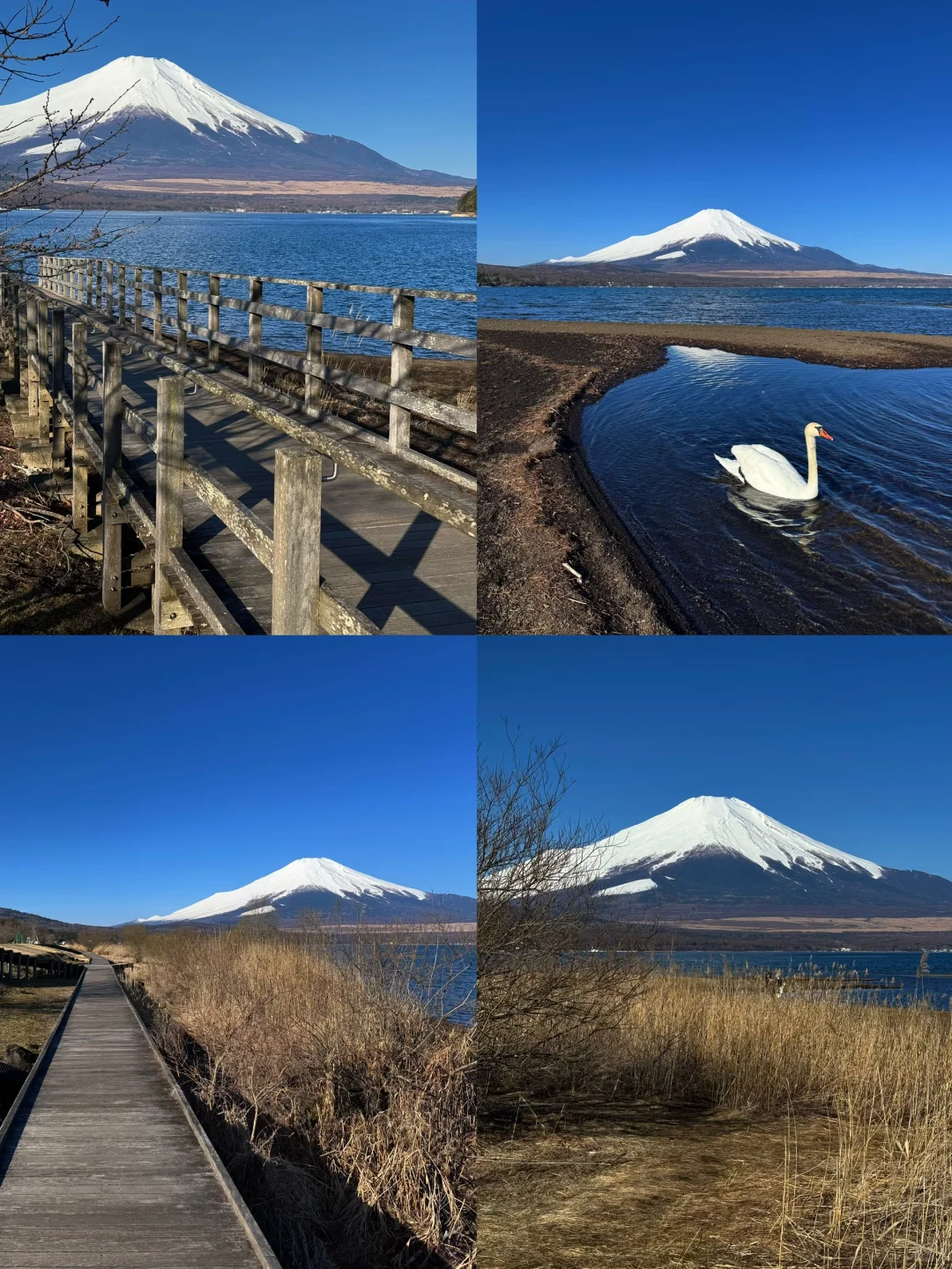 日本｜富士山🗻山中湖绝美粉色日出平野之浜