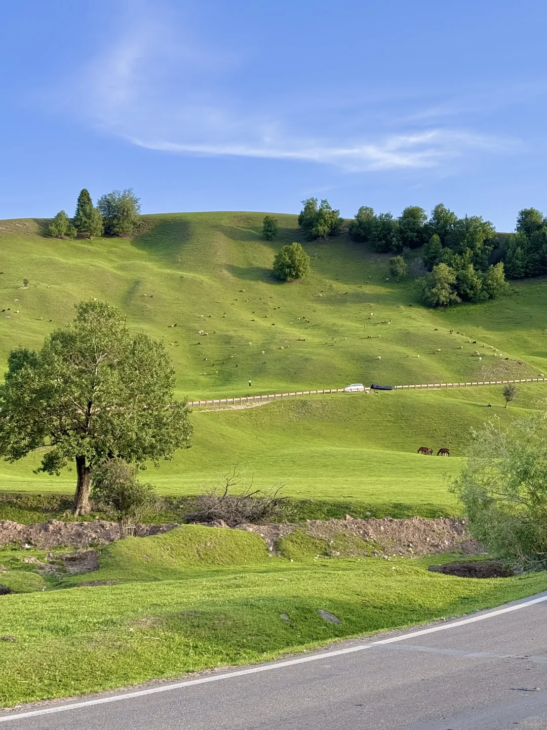 去那拉提别再排队🧎网红桥了🌲