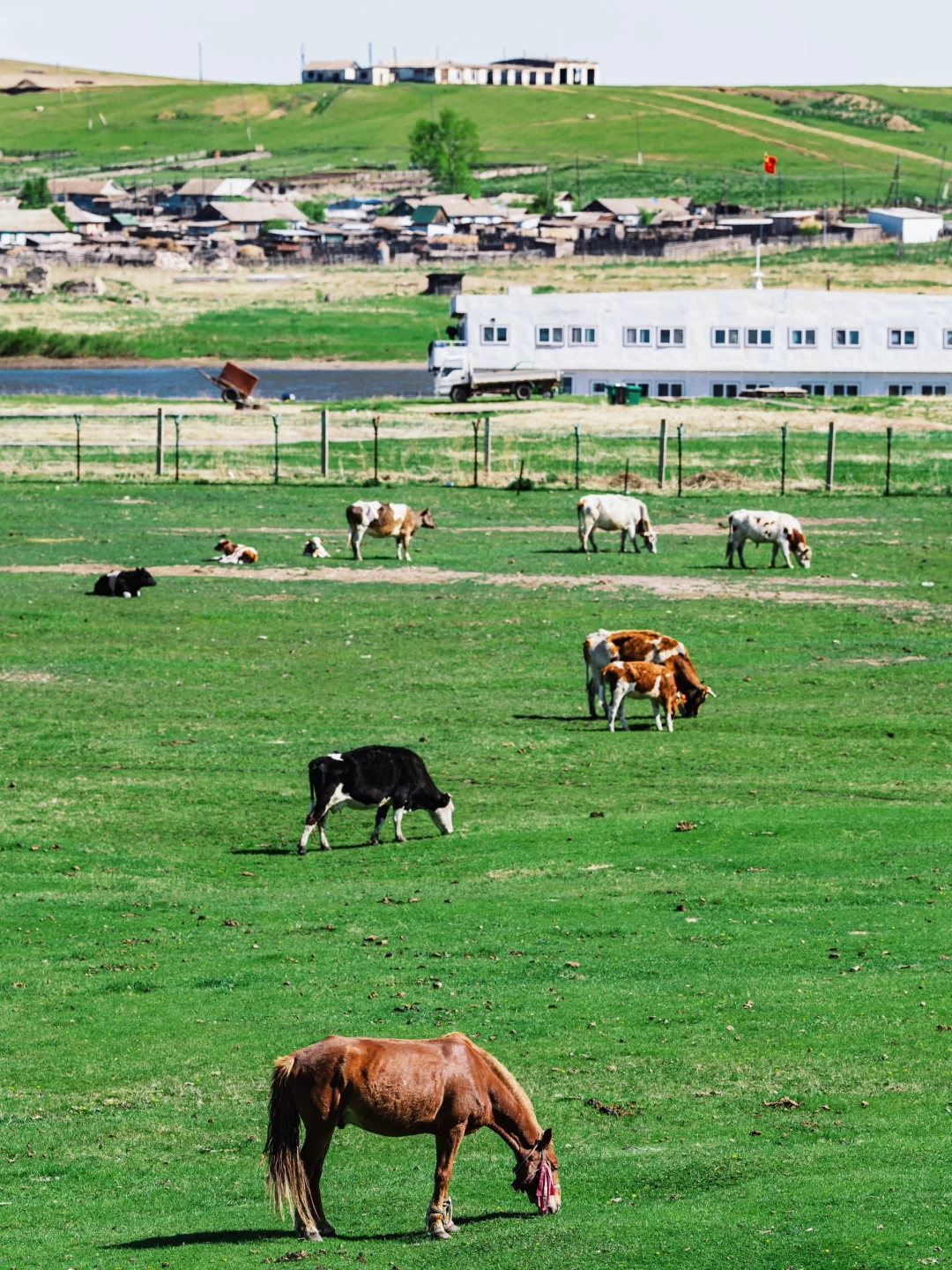 接下来的呼伦贝尔，仿佛走进漫画里一般！！！